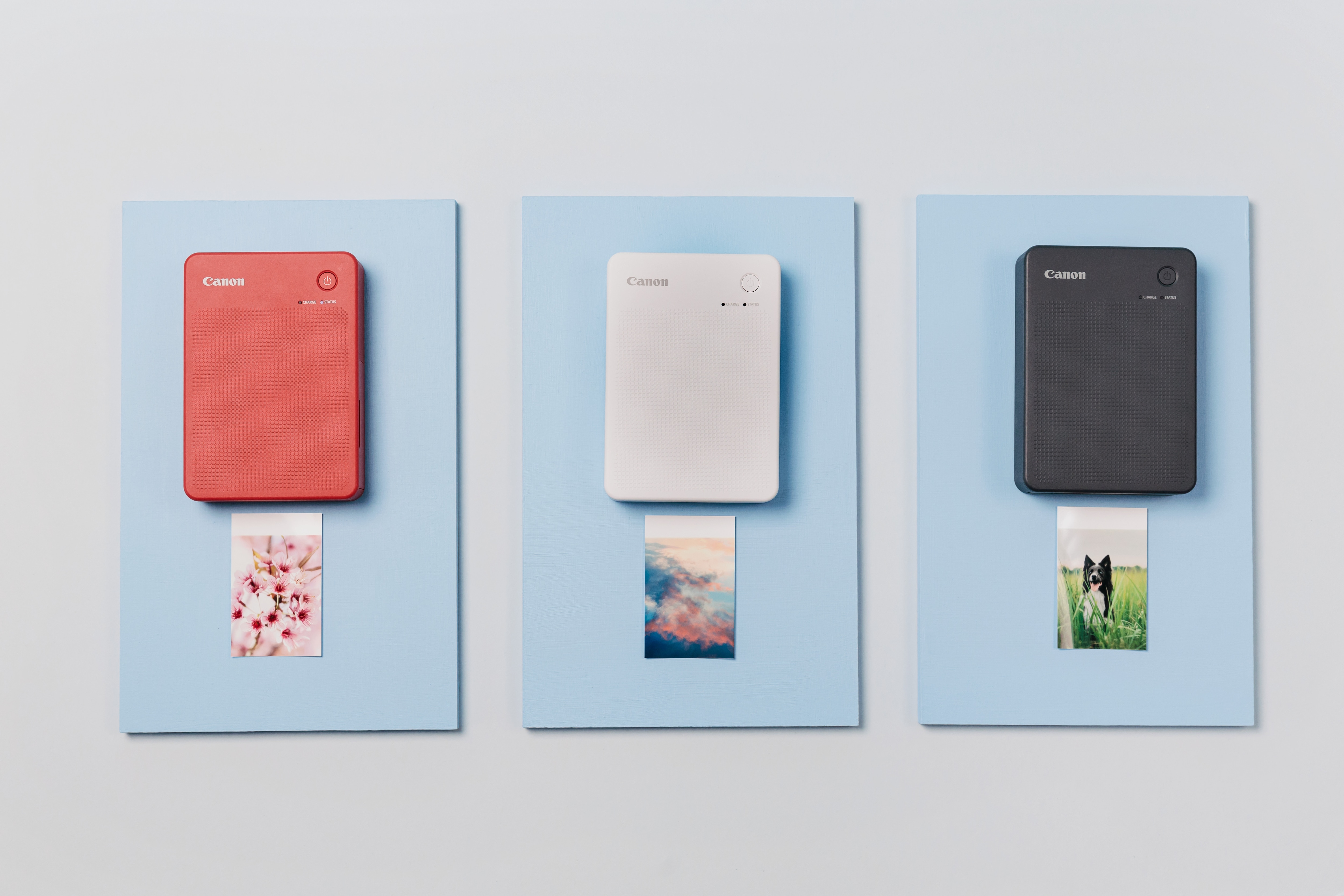 新品未使用！Canon SELPHY QX20 Amazon.com: Canon QX20 Color Ink/Label Set, A6 Size, 60